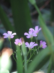4375D75D-40AC-4788-ACFF-711CD61BB549/L0/001