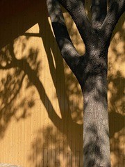 7B45E017-94ED-4BE0-BD11-48B09D955D04/L0/001