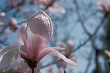 0EFD8EE2-0C97-4F75-88E1-C2E4DA32E715/L0/001