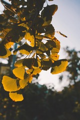 B4322D60-15C1-4473-A747-BA5B3CC6E3D3/L0/001