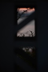A2F13B92-5473-4C14-B782-875BED802490/L0/001