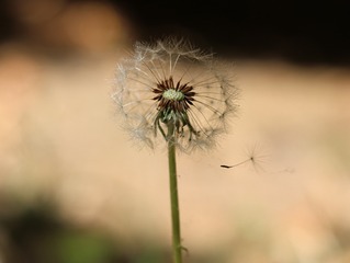 2538A72F-98DD-47A8-AC0F-BE503D37B346/L0/001