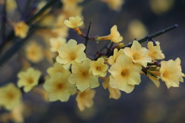 64532B16-2EAA-4E01-9F1C-31DAFB69C1E5/L0/001