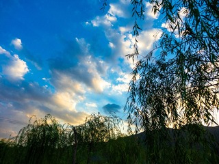 62A026CF-F0EC-455B-A70F-D81FAFEAC644/L0/001