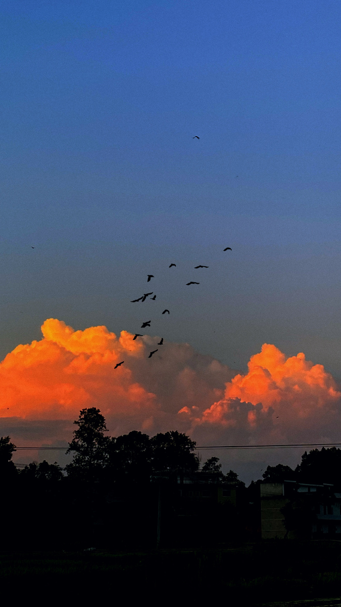 八月的晚霞温柔的晚风以及路上的我