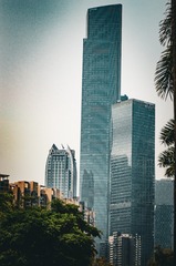 1000011524