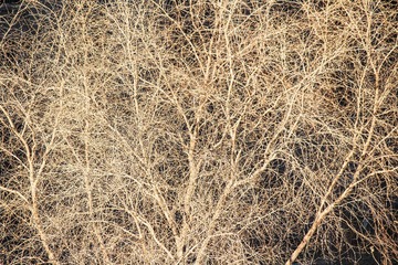 AB5AEC51-0F2E-47D3-8D7A-E268309F0C1A/L0/001