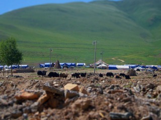 P1040727.jpg