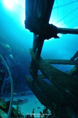 sea01