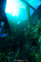 sea02