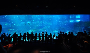 sea04