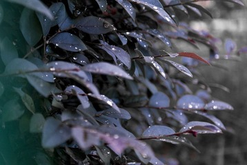 DSC02415.JPG