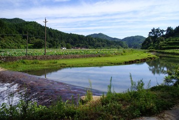 DSC04001.JPG