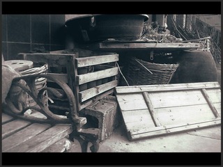 20120729222副本_HZP.jpg