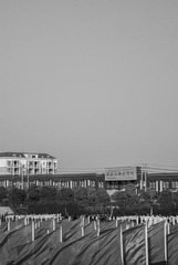 DSC03930副本.jpg