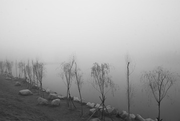DSC05153.JPG
