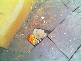 20121215996.jpg