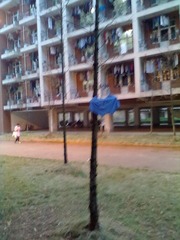 201212221442.jpg