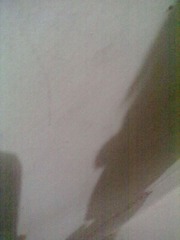 20121205769.jpg