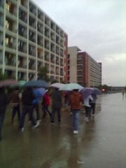 20121116661.jpg
