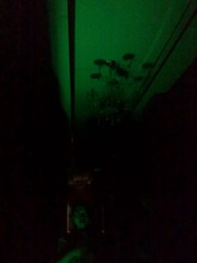 20121120703.jpg