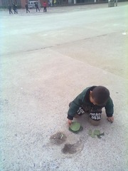 20121120706.jpg