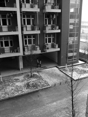 201301041783.jpg