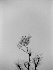201301091863.jpg