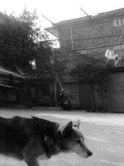 201301101880.jpg