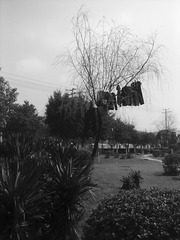201302102439.jpg.jpg (2).jpg