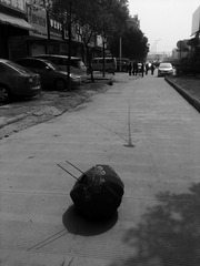201302102439.jpg.jpg (3).jpg