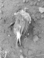 201302252573.jpg