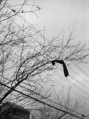 2013021024391.jpg