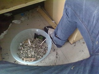 201306123538.jpg