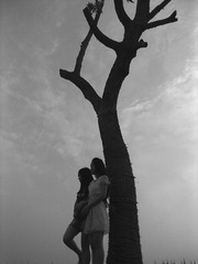 201306043323