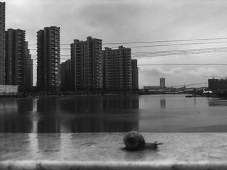 201306073355_1