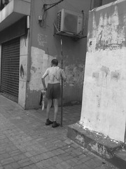 201306233786