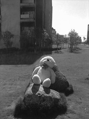 201307014123