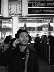20140212491