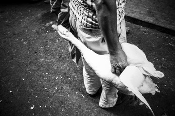 IMG_2187_1