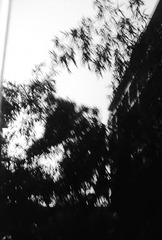 20140718761