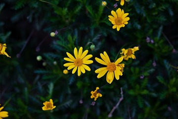 8F7545DF-7A0B-4A84-976B-9142B81361E4/L0/001
