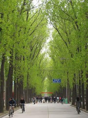 IMG_2262_100427.JPG