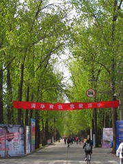 IMG_2265_100428.JPG