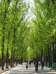 IMG_2266_100429.JPG