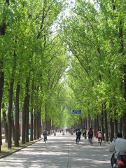 IMG_2272_100501.JPG