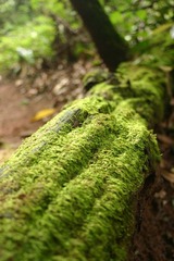 IMG_6256.JPG