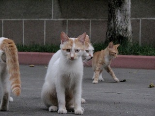 DPP_1543.JPG