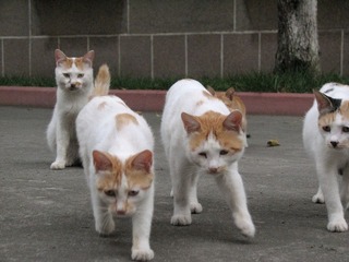 DPP_1544.JPG
