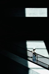 2638750